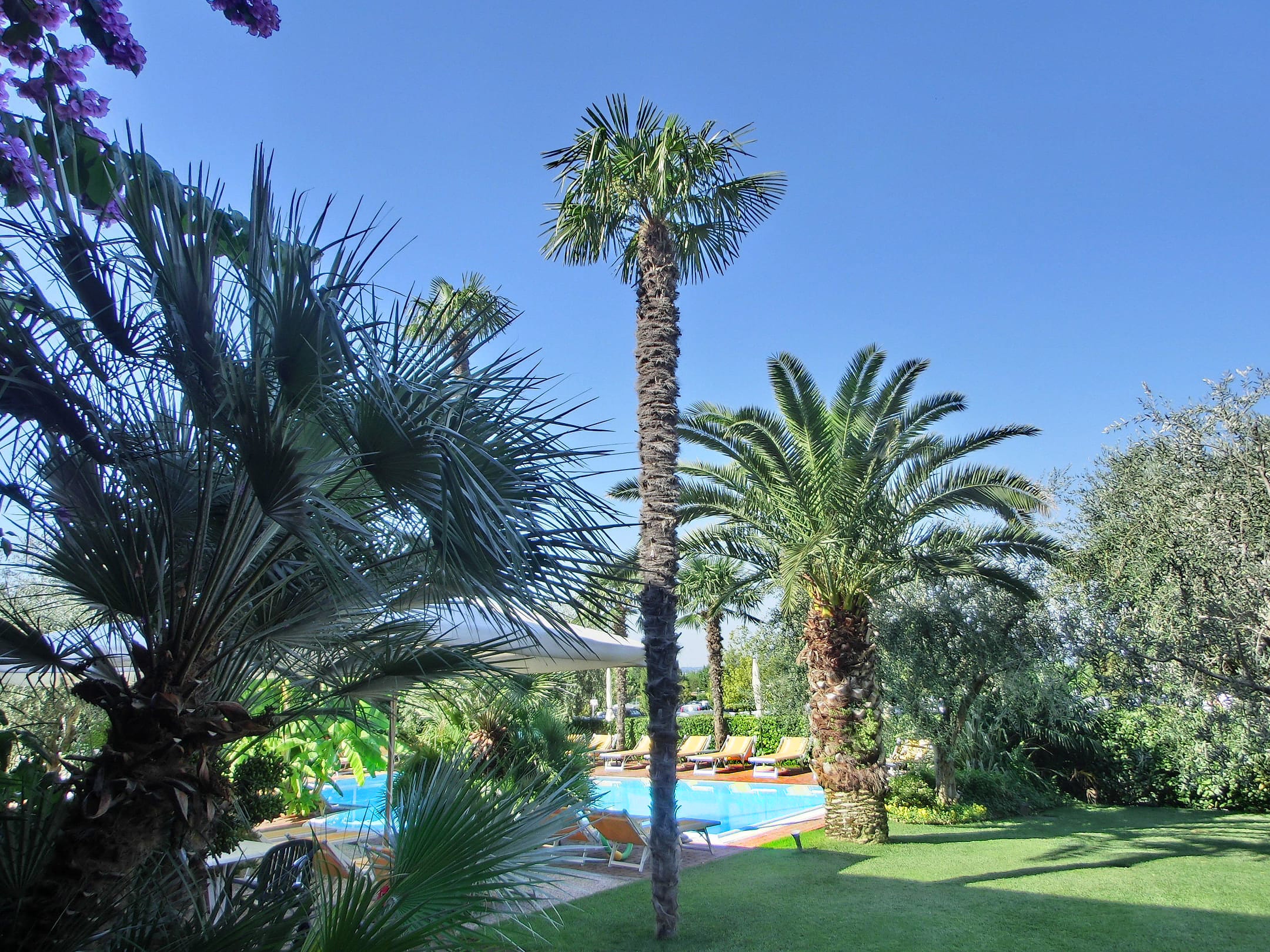 96eb61bb 491c-4b63-a720-0374613514d0